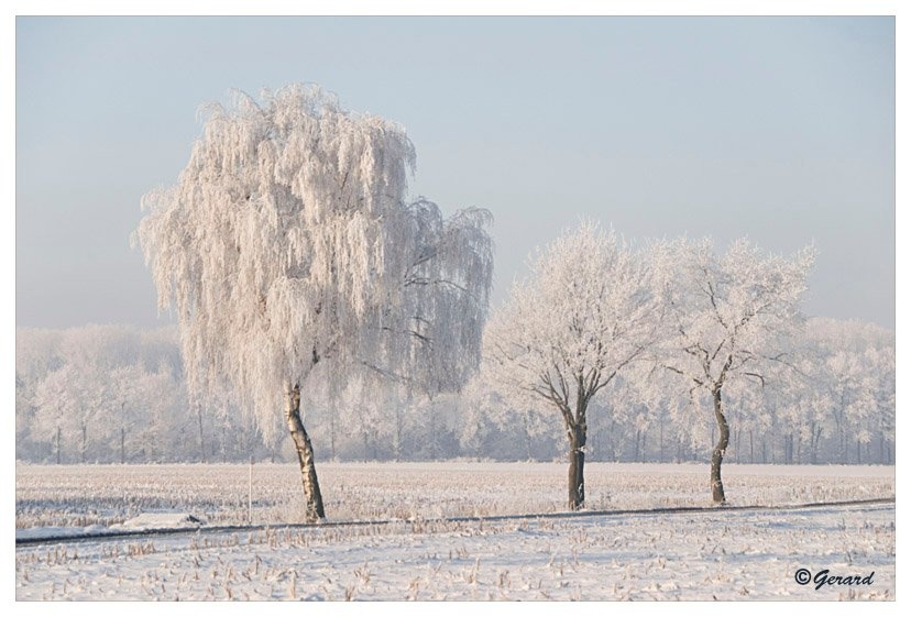 Sneeuwlandschap De Hees 1.jpg - Sneeuwlandschap De Hees